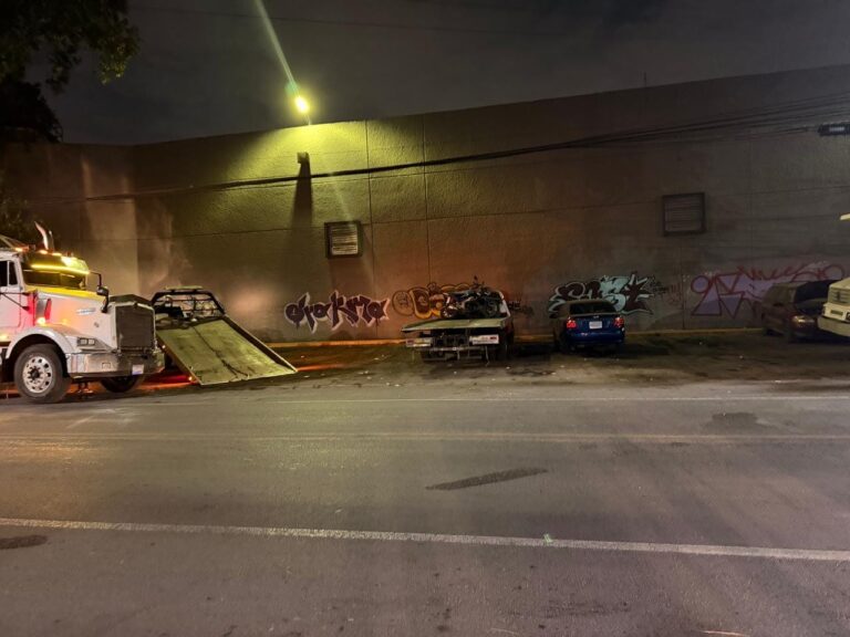 WhatsApp Image 2026-01-15 at 15.20.14 (2)