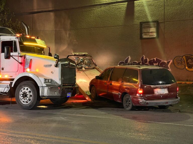 WhatsApp Image 2026-01-15 at 15.20.14 (3)