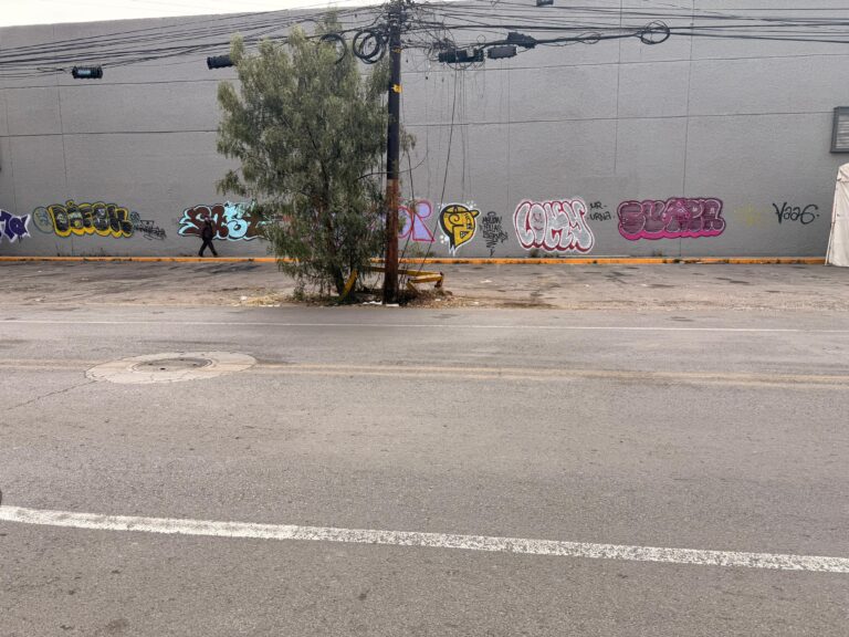 WhatsApp Image 2026-01-15 at 15.20.14 (5)