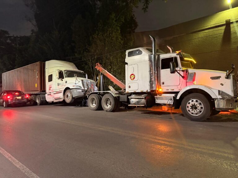 WhatsApp Image 2026-01-15 at 15.20.14