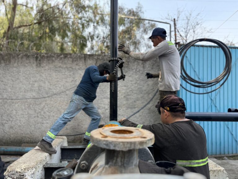 WhatsApp Image 2026-01-19 at 14.25.29