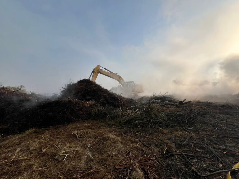 WhatsApp Image 2026-01-27 at 11.54.46 (3)