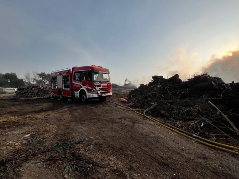 WhatsApp Image 2026-01-27 at 11.54.46 (4)