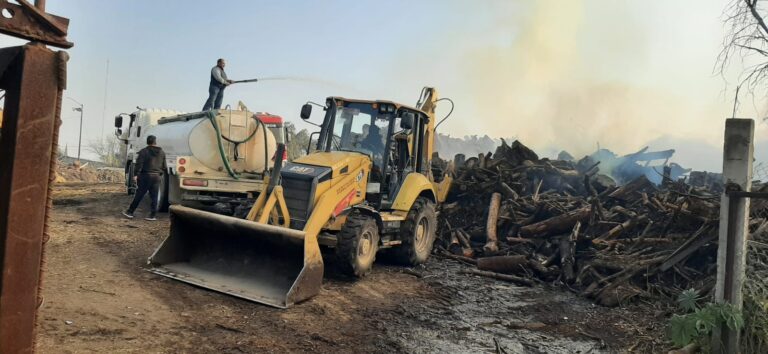 WhatsApp Image 2026-01-27 at 11.54.46 (5)