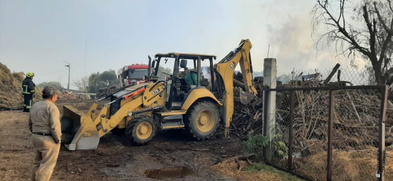 WhatsApp Image 2026-01-27 at 11.54.46