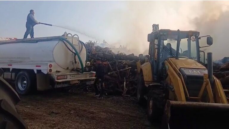 WhatsApp Image 2026-01-27 at 11.54.47