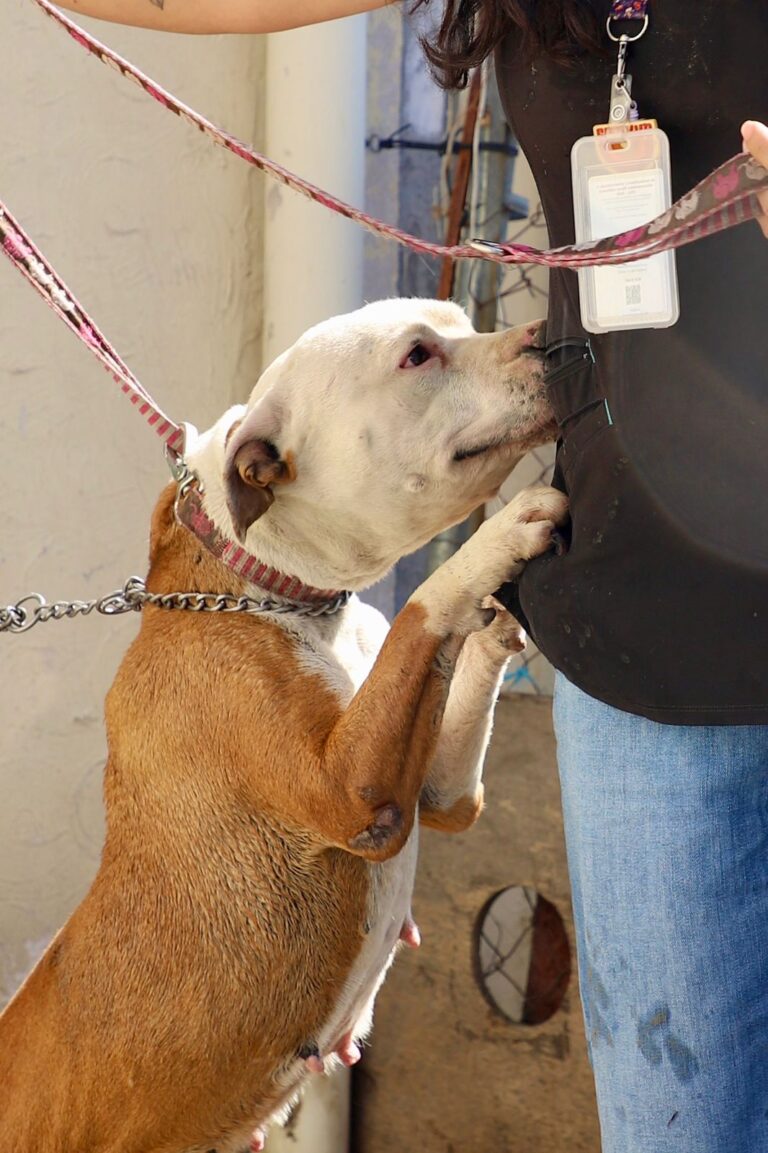 WhatsApp Image 2026-01-27 at 15.36.42 (1)