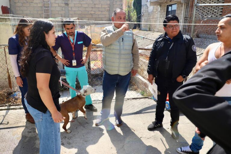 WhatsApp Image 2026-01-27 at 15.36.43 (1)