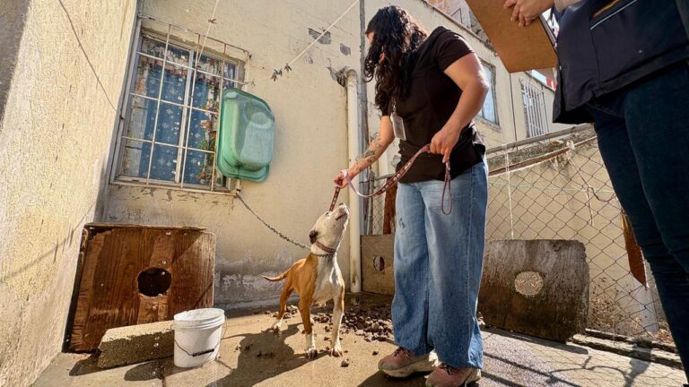 WhatsApp Image 2026-01-27 at 15.36.43 (2)