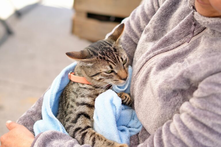 WhatsApp Image 2026-01-29 at 16.30.23