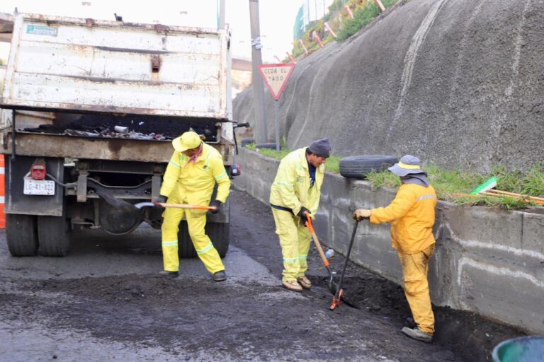 WhatsApp Image 2026-02-04 at 17.01.48 (3)