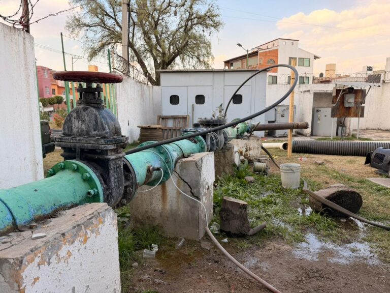 WhatsApp Image 2026-02-04 at 20.48.46 (1)