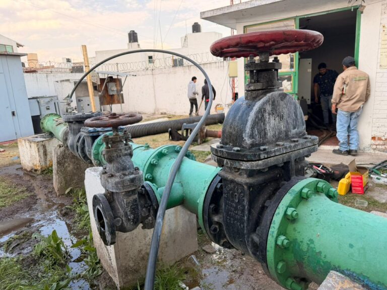 WhatsApp Image 2026-02-04 at 20.48.46 (2)