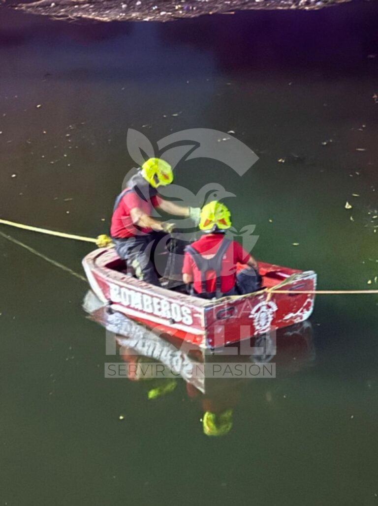 WhatsApp Image 2026-02-09 at 12.05.02 (1)