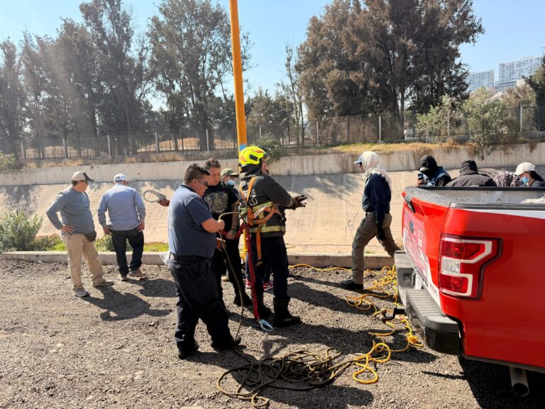 WhatsApp Image 2026-02-11 at 18.06.10 (2)