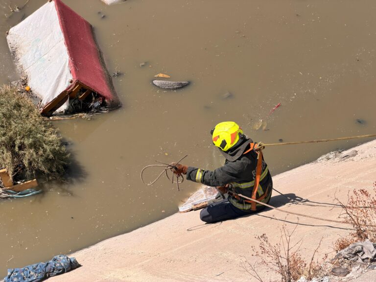 WhatsApp Image 2026-02-11 at 18.06.10 (4)