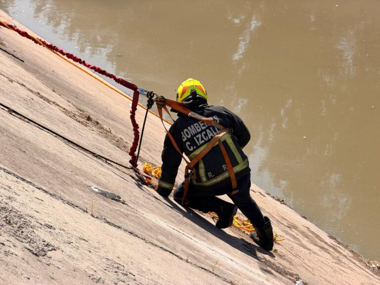 WhatsApp Image 2026-02-11 at 18.06.10