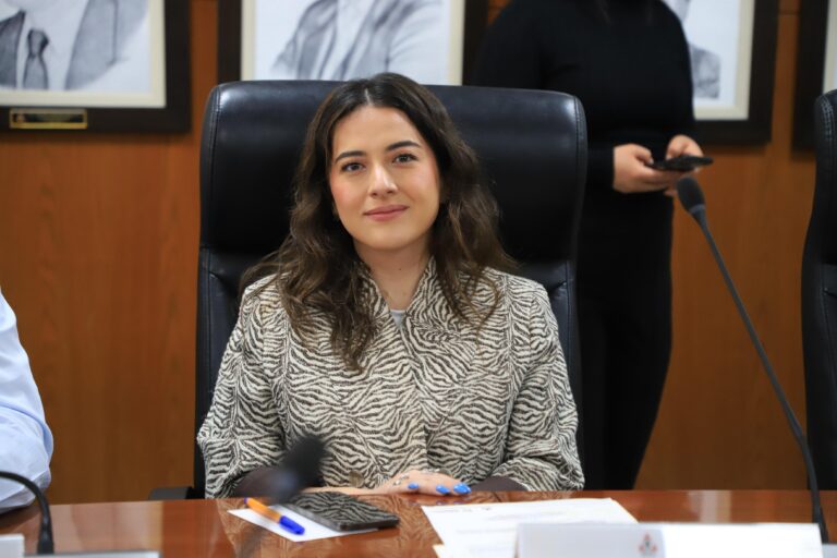 WhatsApp Image 2026-02-12 at 15.50.29