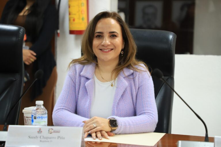 WhatsApp Image 2026-02-12 at 15.50.30