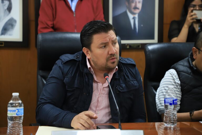 WhatsApp Image 2026-02-12 at 15.50.31 (1)