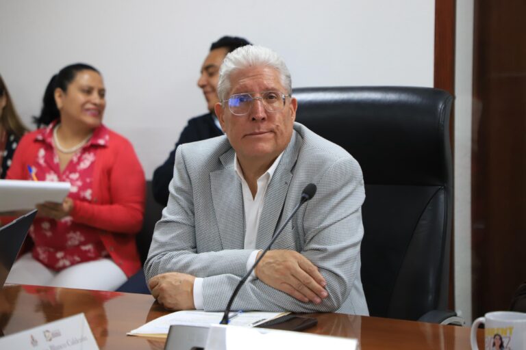 WhatsApp Image 2026-02-12 at 15.50.31 (2)