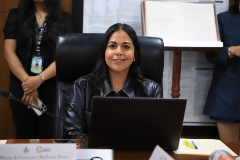 WhatsApp Image 2026-02-12 at 15.50.31