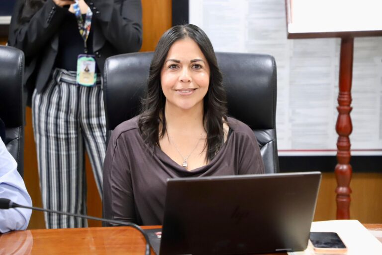 WhatsApp Image 2026-02-13 at 16.52.21