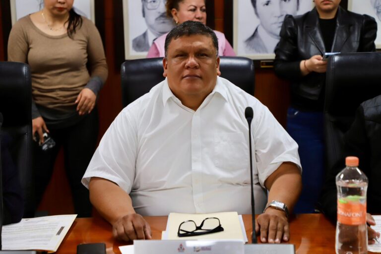 WhatsApp Image 2026-02-13 at 16.52.22 (1)