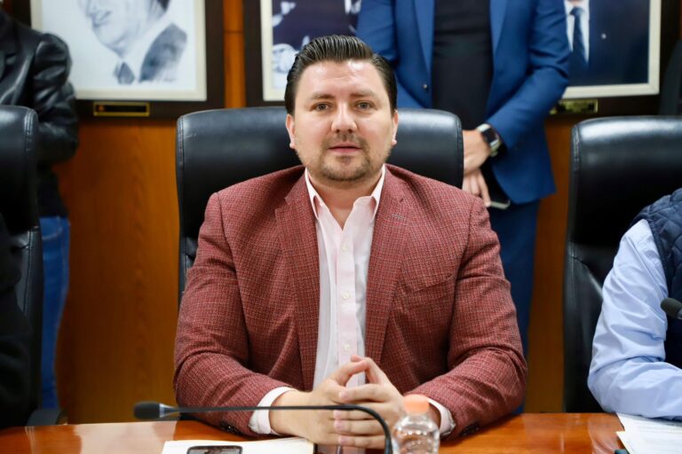 WhatsApp Image 2026-02-13 at 16.52.22