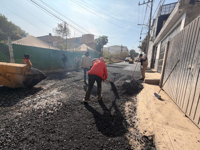 WhatsApp Image 2026-02-16 at 18.36.23 (1)