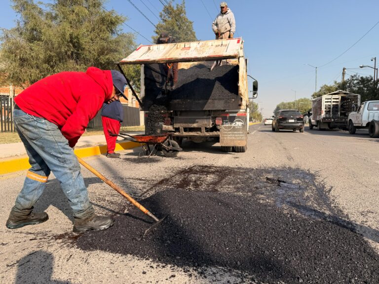 WhatsApp Image 2026-02-16 at 18.36.23 (4)