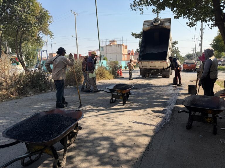 WhatsApp Image 2026-02-16 at 18.36.23