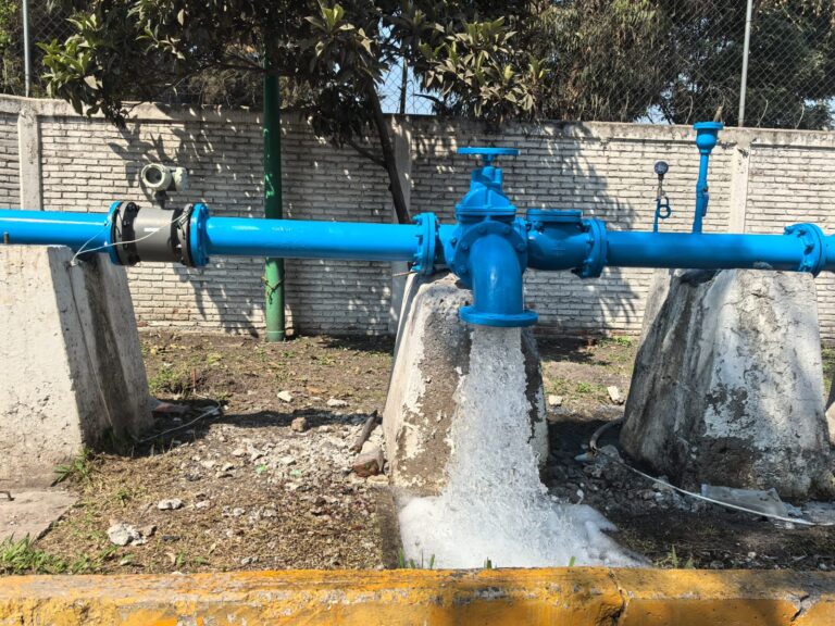 WhatsApp Image 2026-02-16 at 20.19.03 (1)