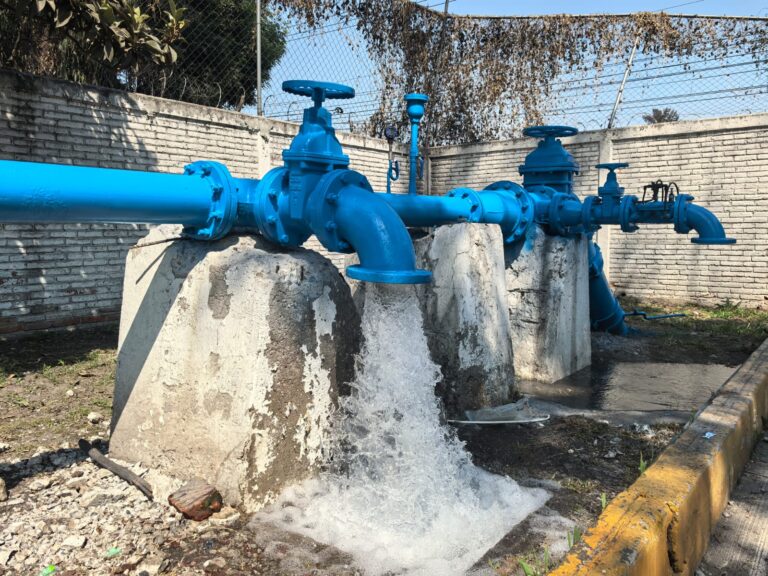 WhatsApp Image 2026-02-16 at 20.19.03