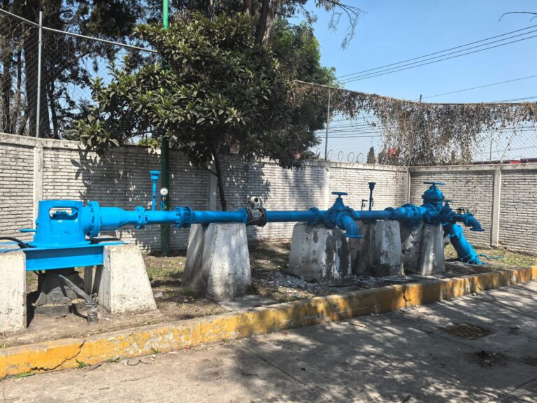 WhatsApp Image 2026-02-16 at 20.19.04