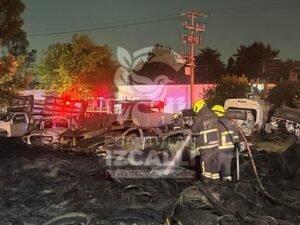 WhatsApp Image 2026-02-19 at 21.36.23 (1)