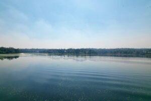 03bc29bf-2082-4993-9929-58f228534ae2