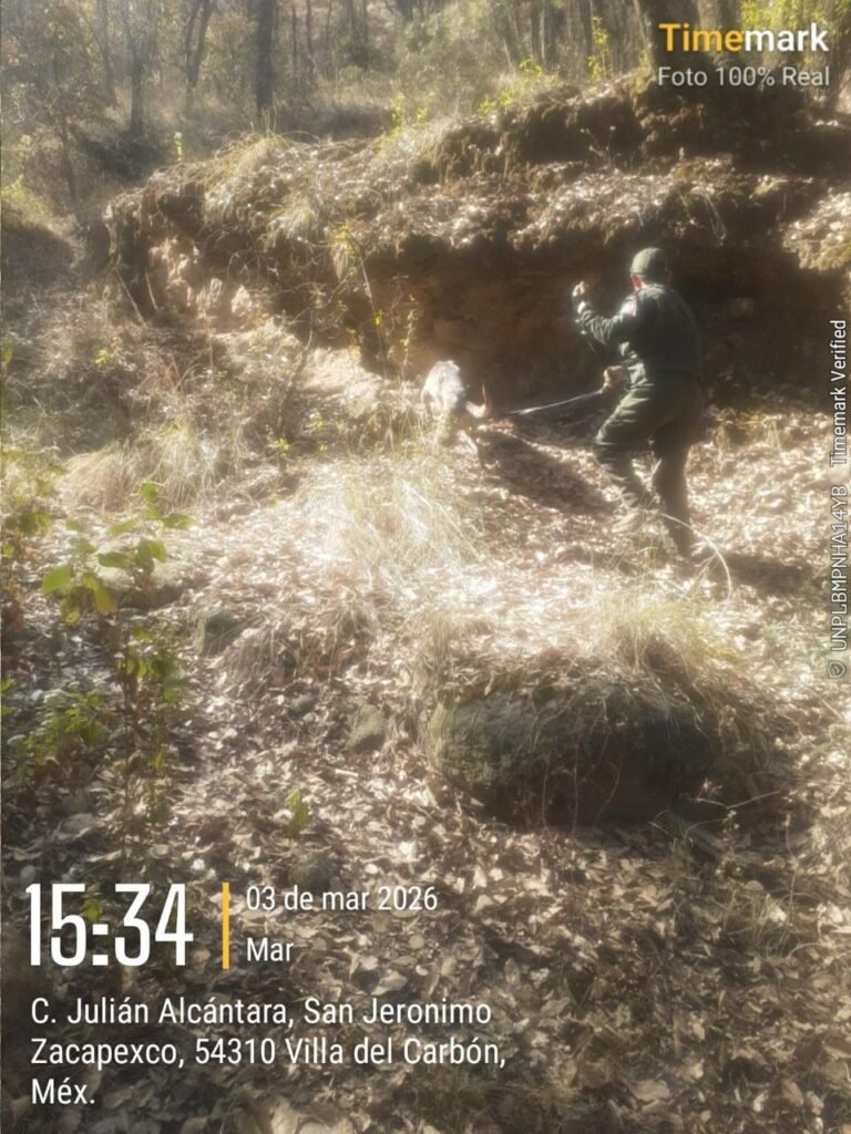 WhatsApp Image 2026-03-04 at 16.38.38 (1)