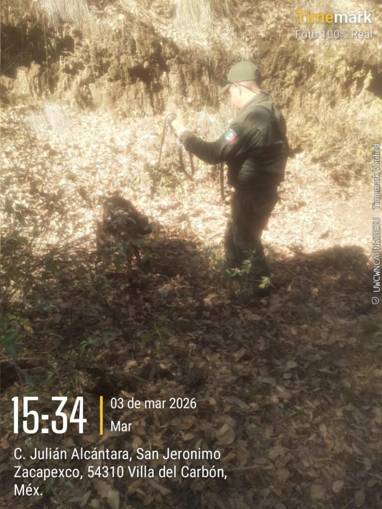 WhatsApp Image 2026-03-04 at 16.38.38 (2)