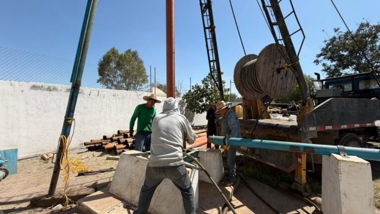 WhatsApp Image 2026-03-05 at 09.43.39