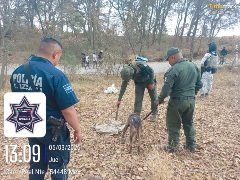 WhatsApp Image 2026-03-05 at 18.38.09 (3)