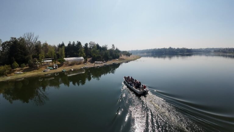 WhatsApp Image 2026-03-14 at 10.47.47 (1)