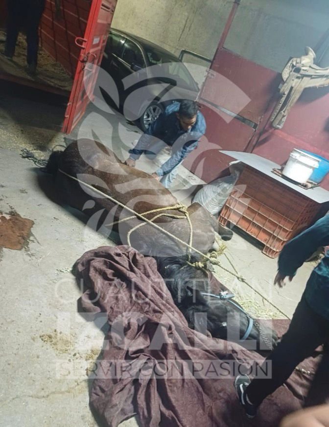 WhatsApp Image 2026-03-14 at 22.49.32